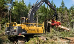 Vermittlung Volvo Forstarbeit
